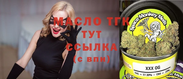 apvp Бородино