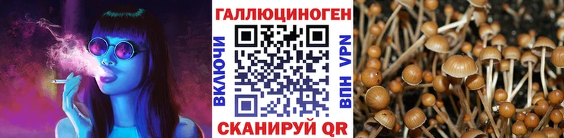 Псилоцибиновые грибы MAGIC MUSHROOMS  цены   Комсомольск 